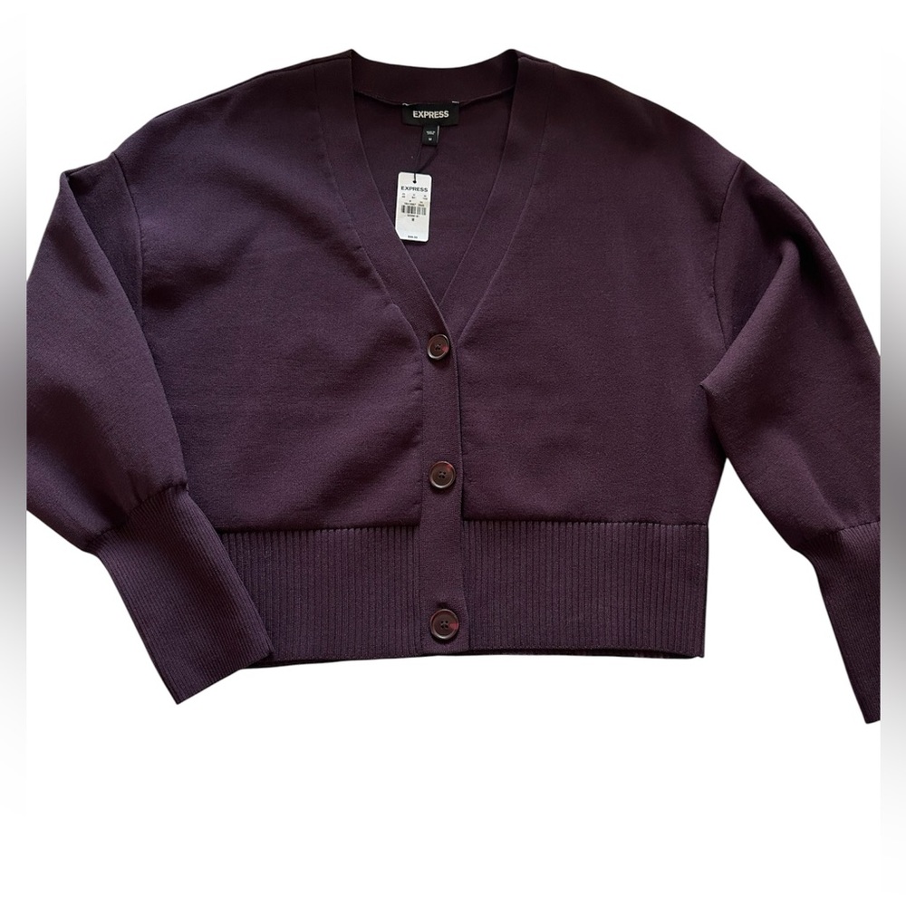 EXPRESS Wine Sweater